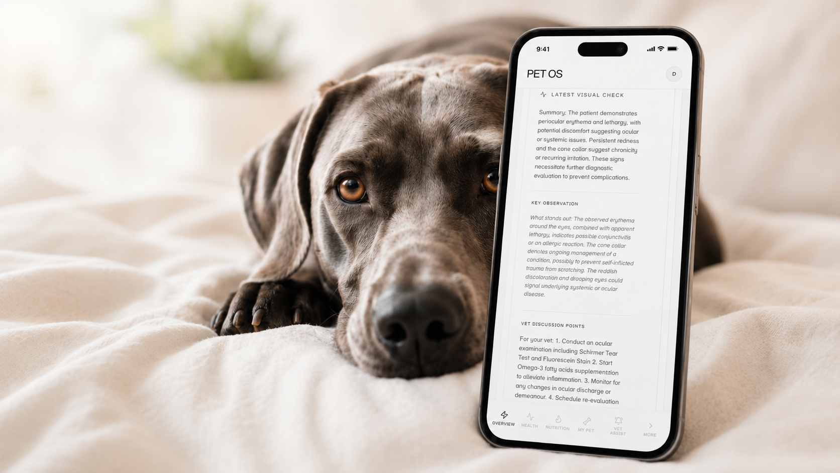 PET OS dashboard overview