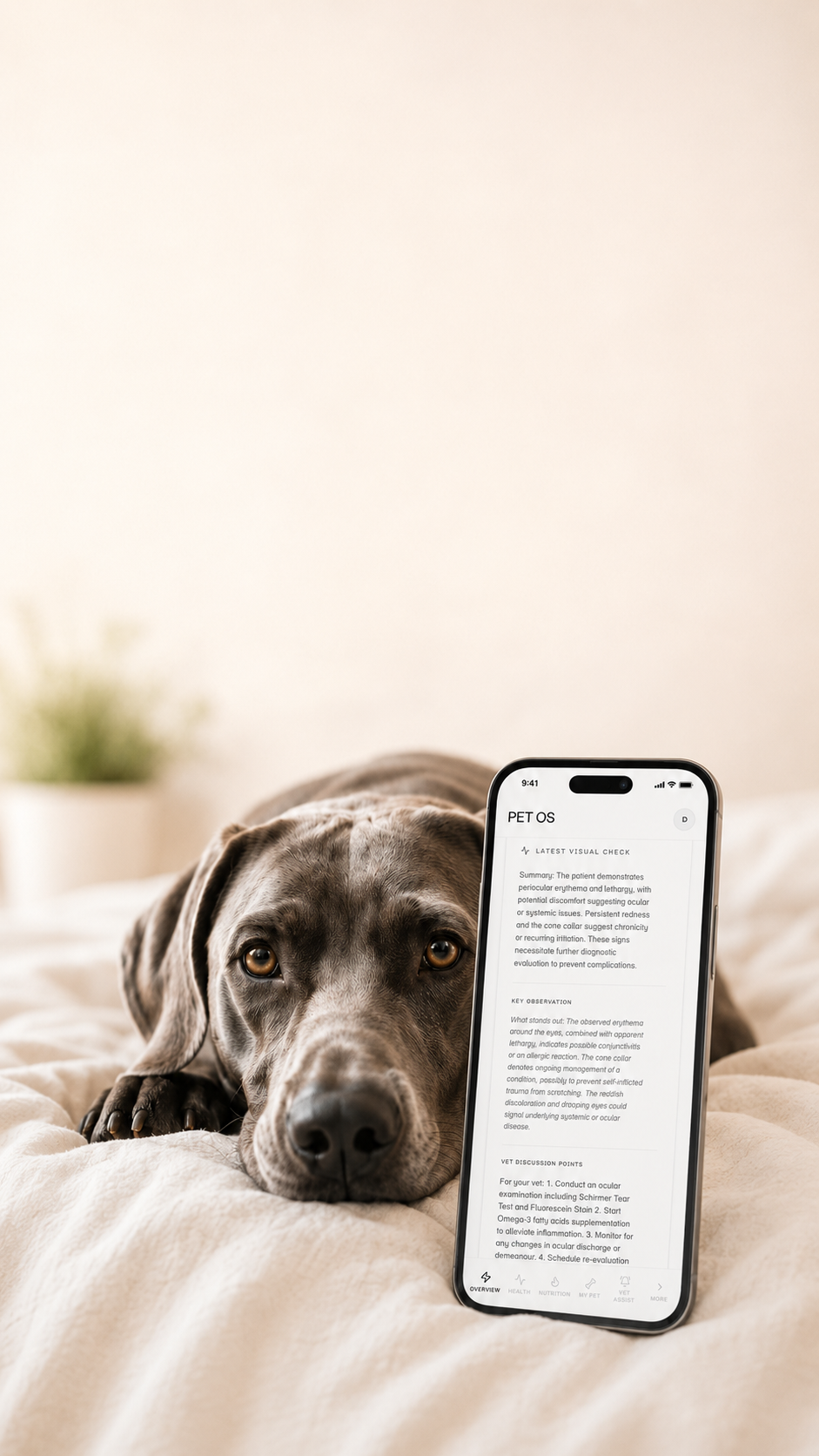 PET OS mobile dashboard overview